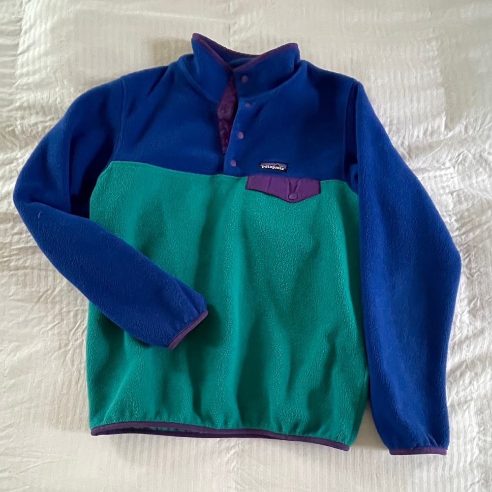 Patagonia Blue and Green Synchilla Fleece Pullover - small